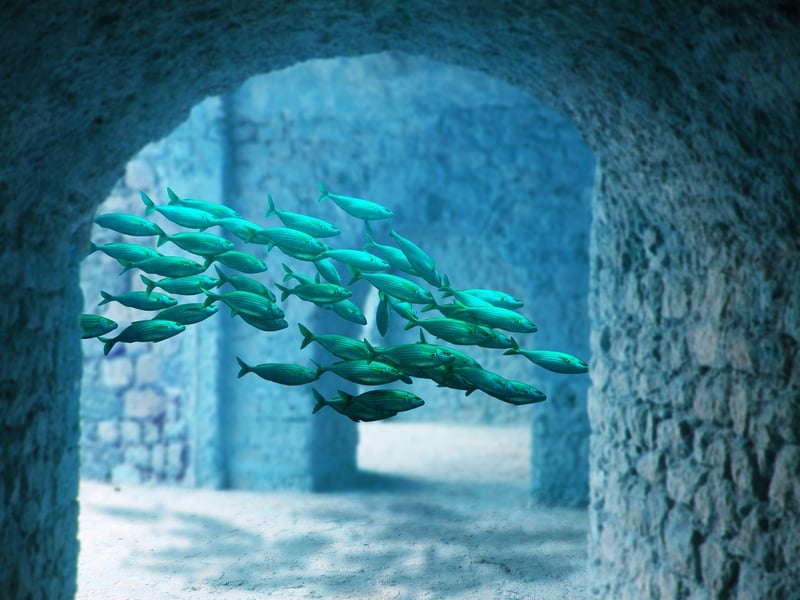 Atlantis Underwater Ruins